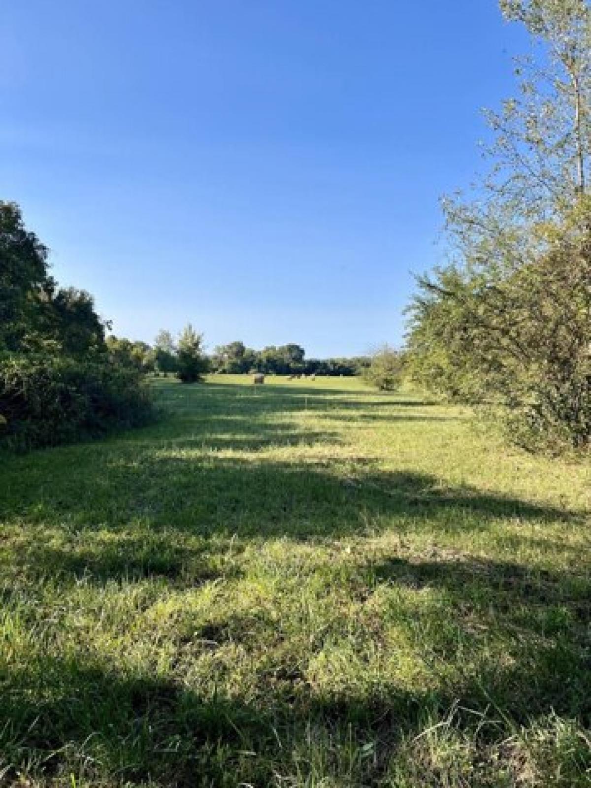 Picture of Residential Land For Sale in Burkesville, Kentucky, United States