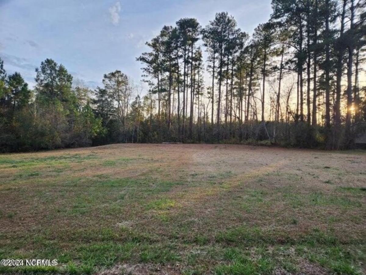 Picture of Residential Land For Sale in Oriental, North Carolina, United States