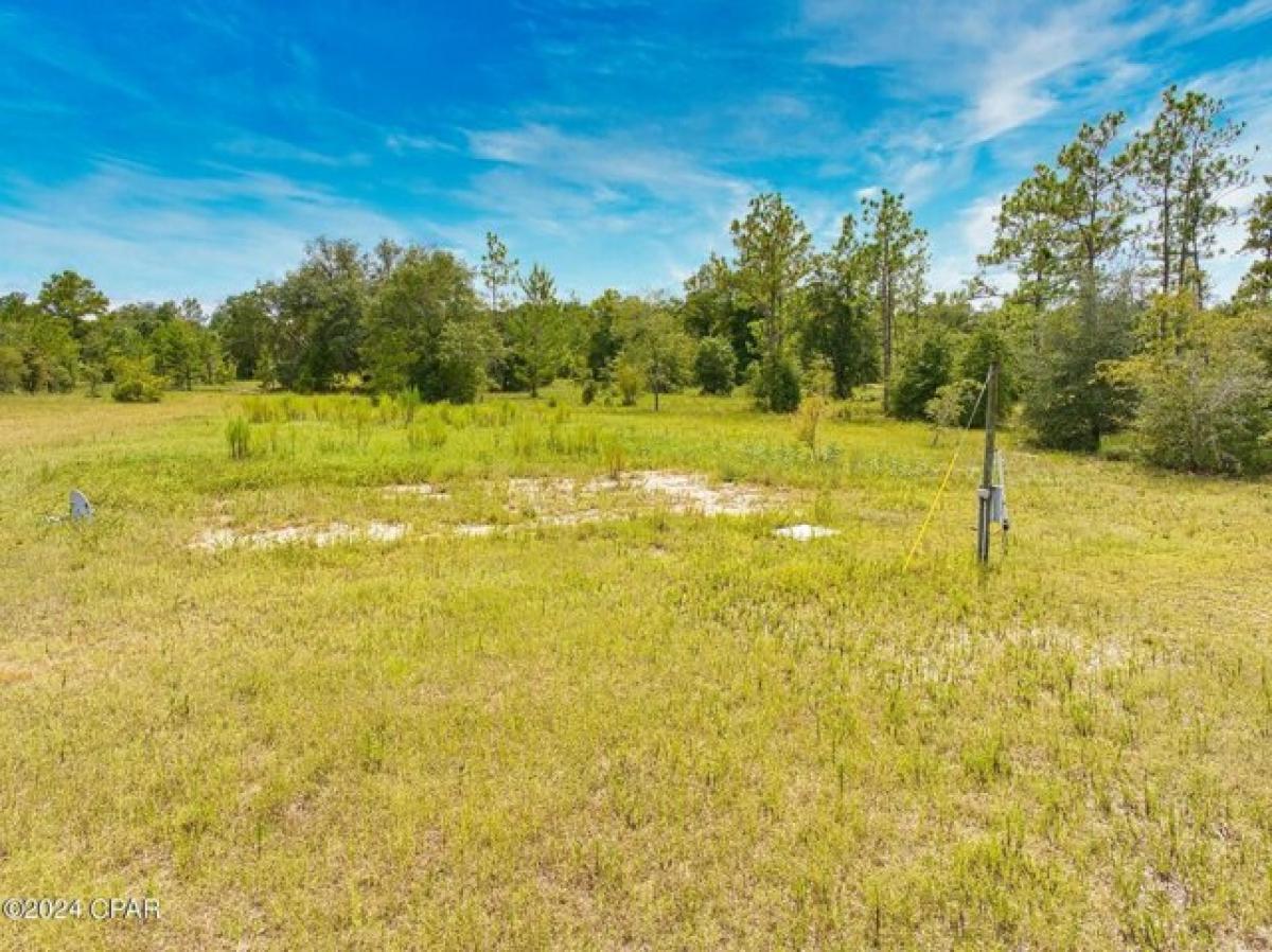 Picture of Residential Land For Sale in Fountain, Florida, United States