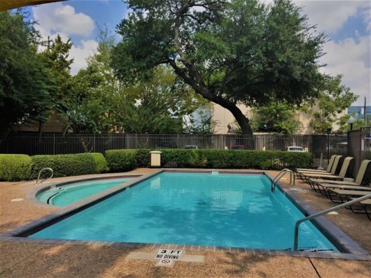 Picture of Apartment For Rent in Houston, Texas, United States