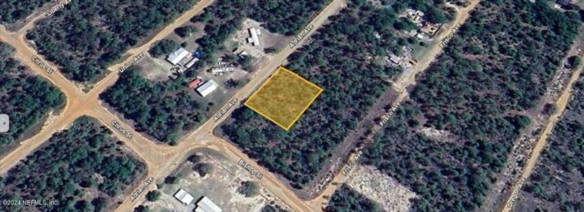 Picture of Residential Land For Rent in Interlachen, Florida, United States