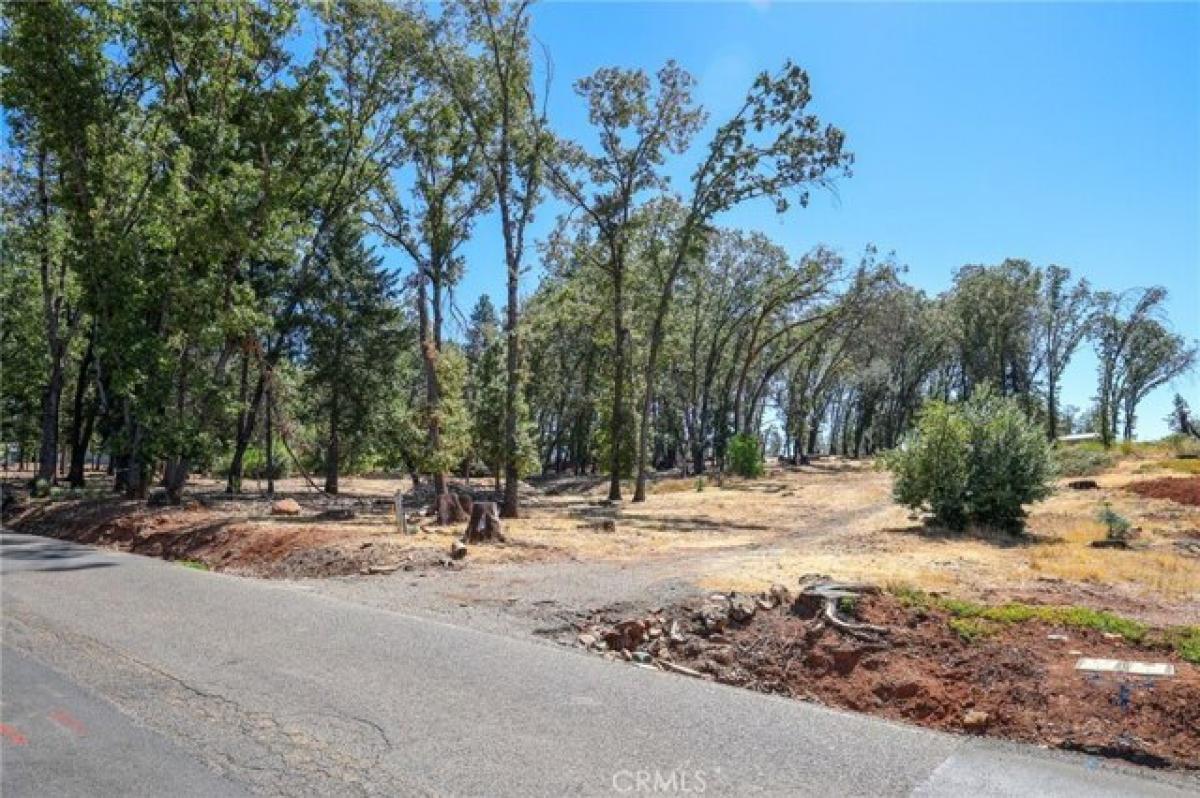 Picture of Residential Land For Sale in Paradise, California, United States