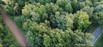 Residential Land For Sale in Grass Lake, Michigan