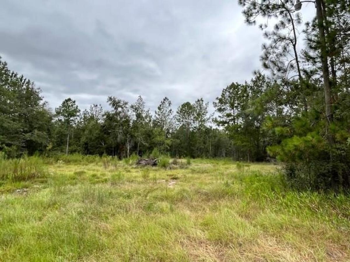 Picture of Residential Land For Sale in Reidsville, Georgia, United States