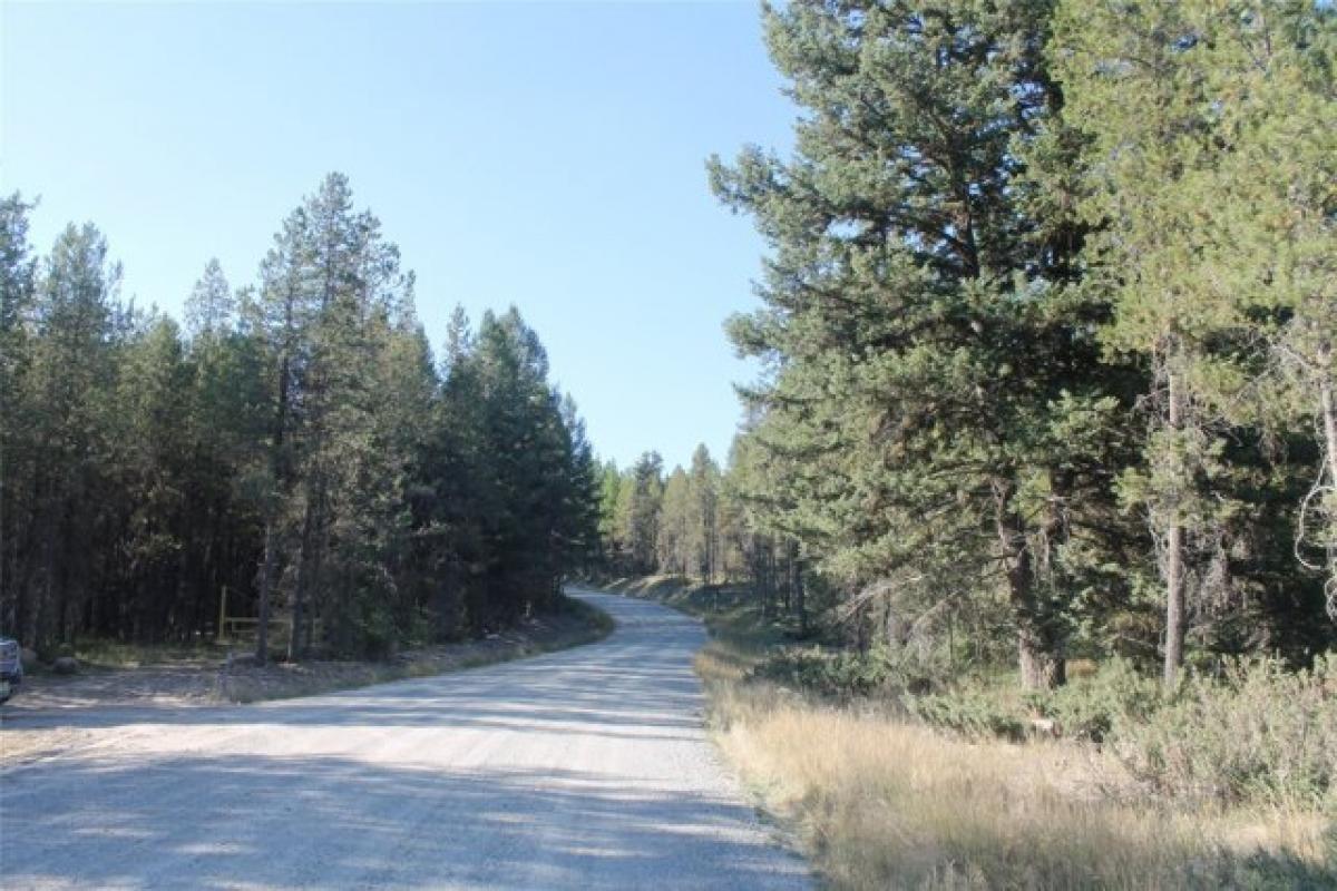 Picture of Residential Land For Sale in Marion, Montana, United States