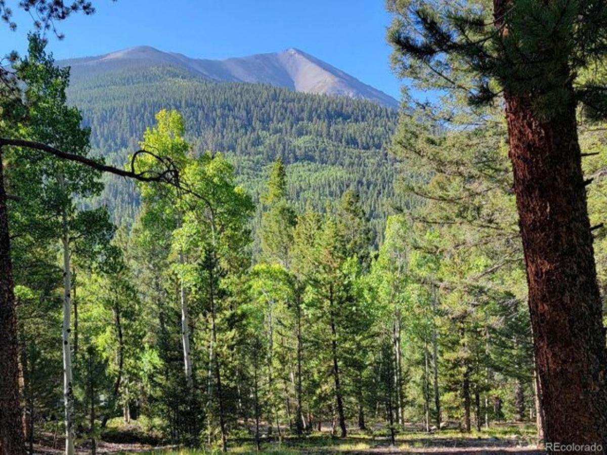 Picture of Residential Land For Sale in Nathrop, Colorado, United States