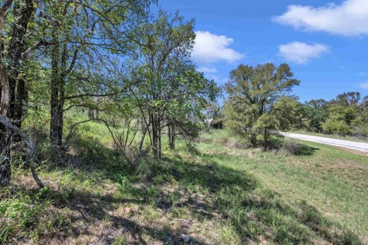 Picture of Residential Land For Sale in Kingsland, Texas, United States