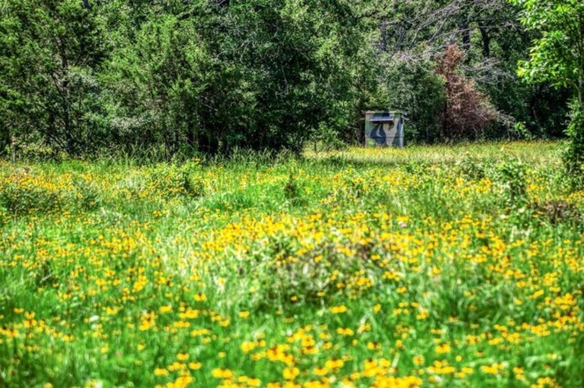 Picture of Residential Land For Sale in Caldwell, Texas, United States