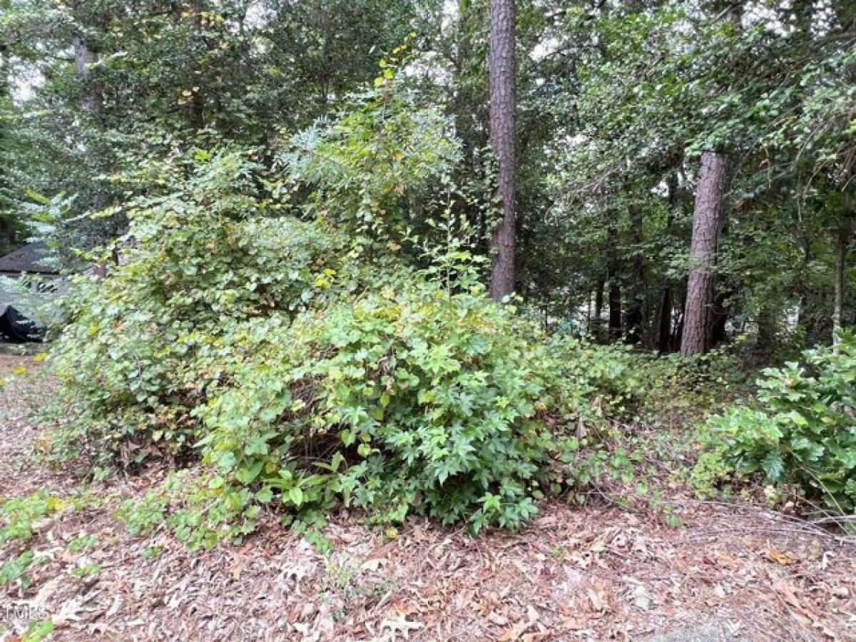 Picture of Residential Land For Sale in Sanford, North Carolina, United States