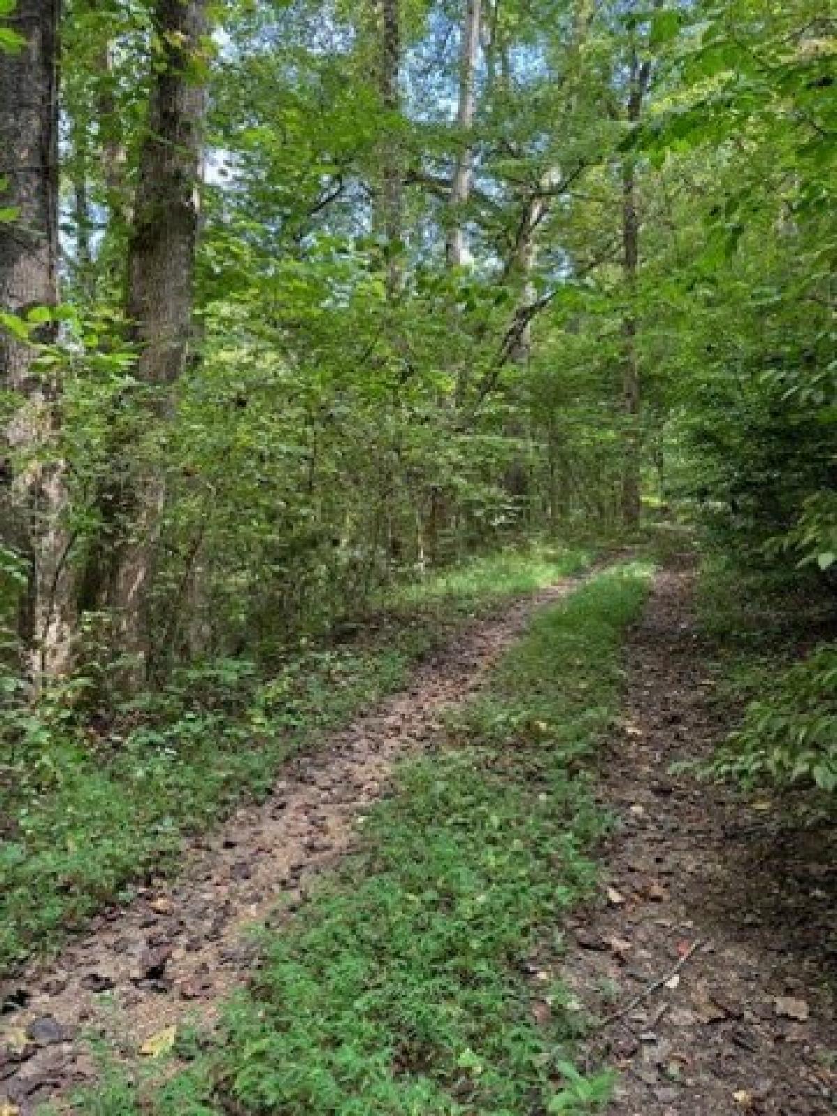 Picture of Residential Land For Sale in Andrews, North Carolina, United States