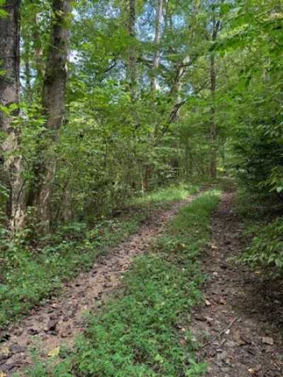 Residential Land For Sale in 