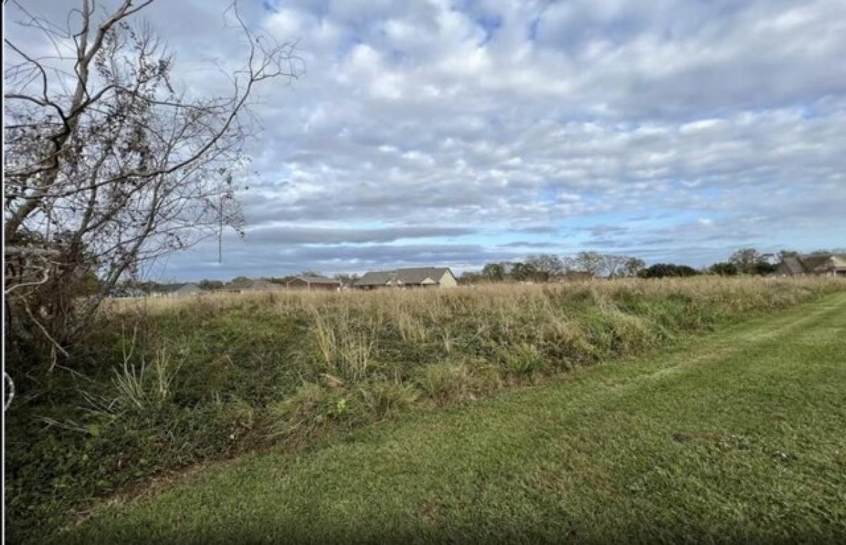 Picture of Residential Land For Sale in Liberty, Texas, United States