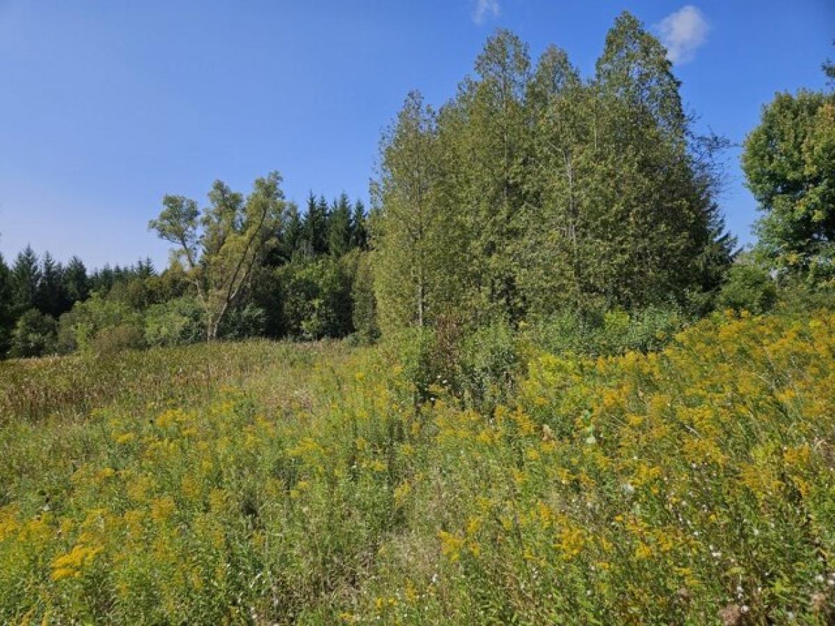 Picture of Residential Land For Sale in Grafton, Wisconsin, United States