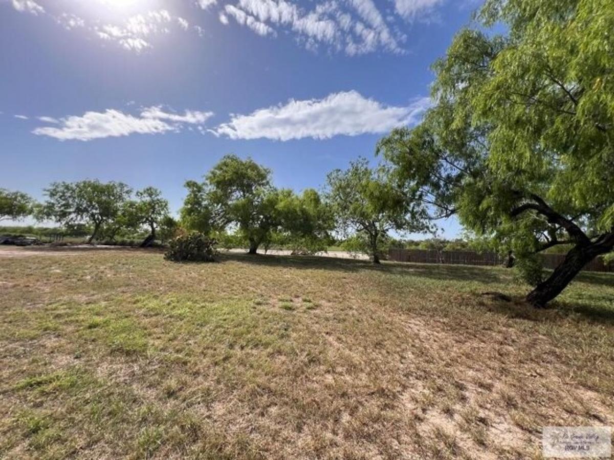 Picture of Residential Land For Sale in San Benito, Texas, United States