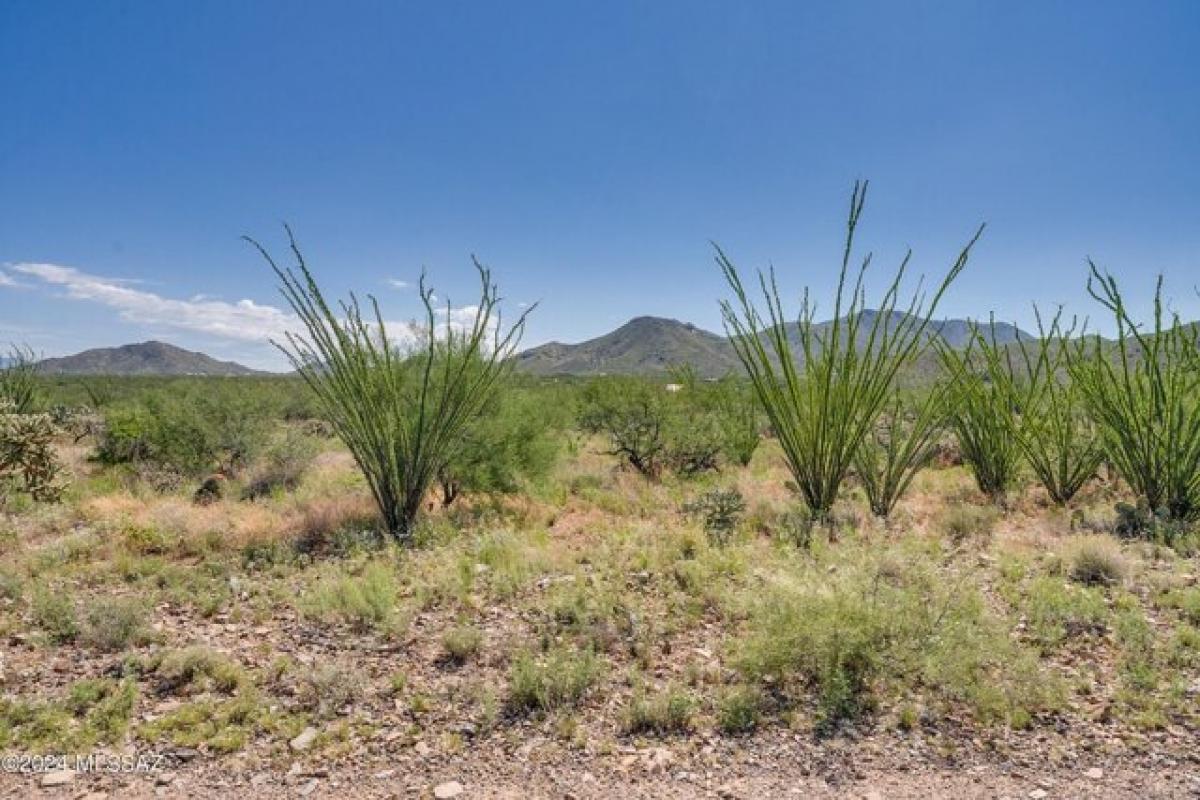 Picture of Residential Land For Sale in Vail, Arizona, United States