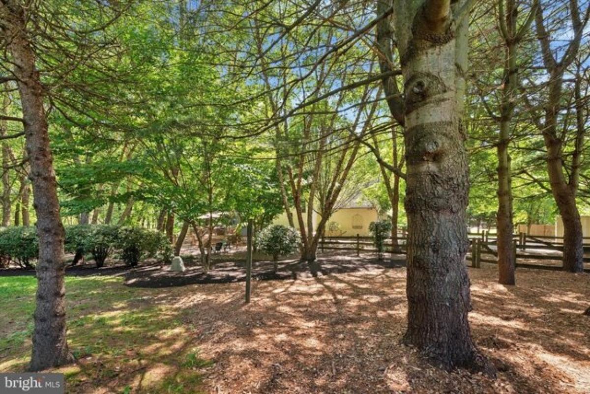 Picture of Home For Sale in Kennett Square, Pennsylvania, United States