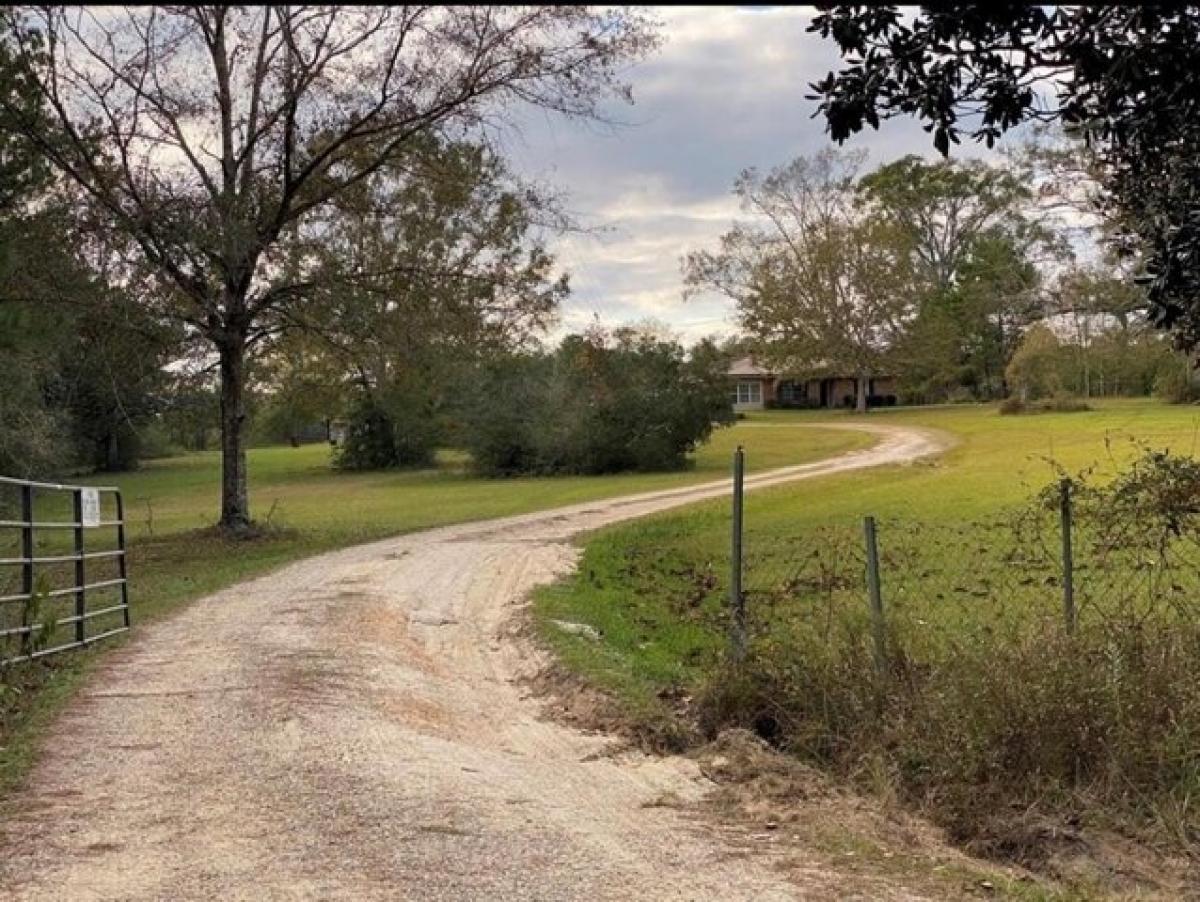 Picture of Home For Sale in Carriere, Mississippi, United States