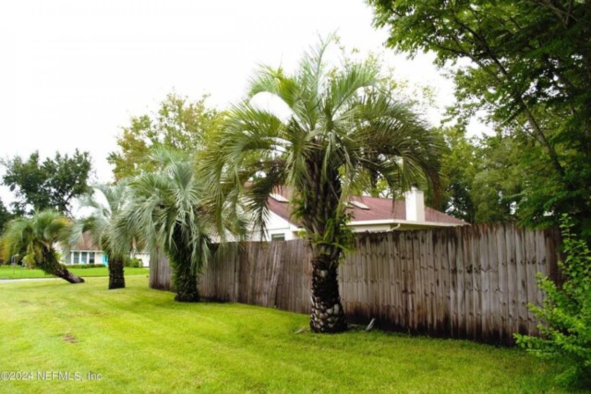 Picture of Home For Sale in Orange Park, Florida, United States