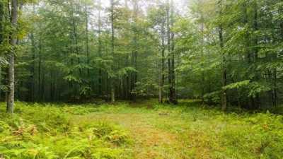 Residential Land For Sale in 