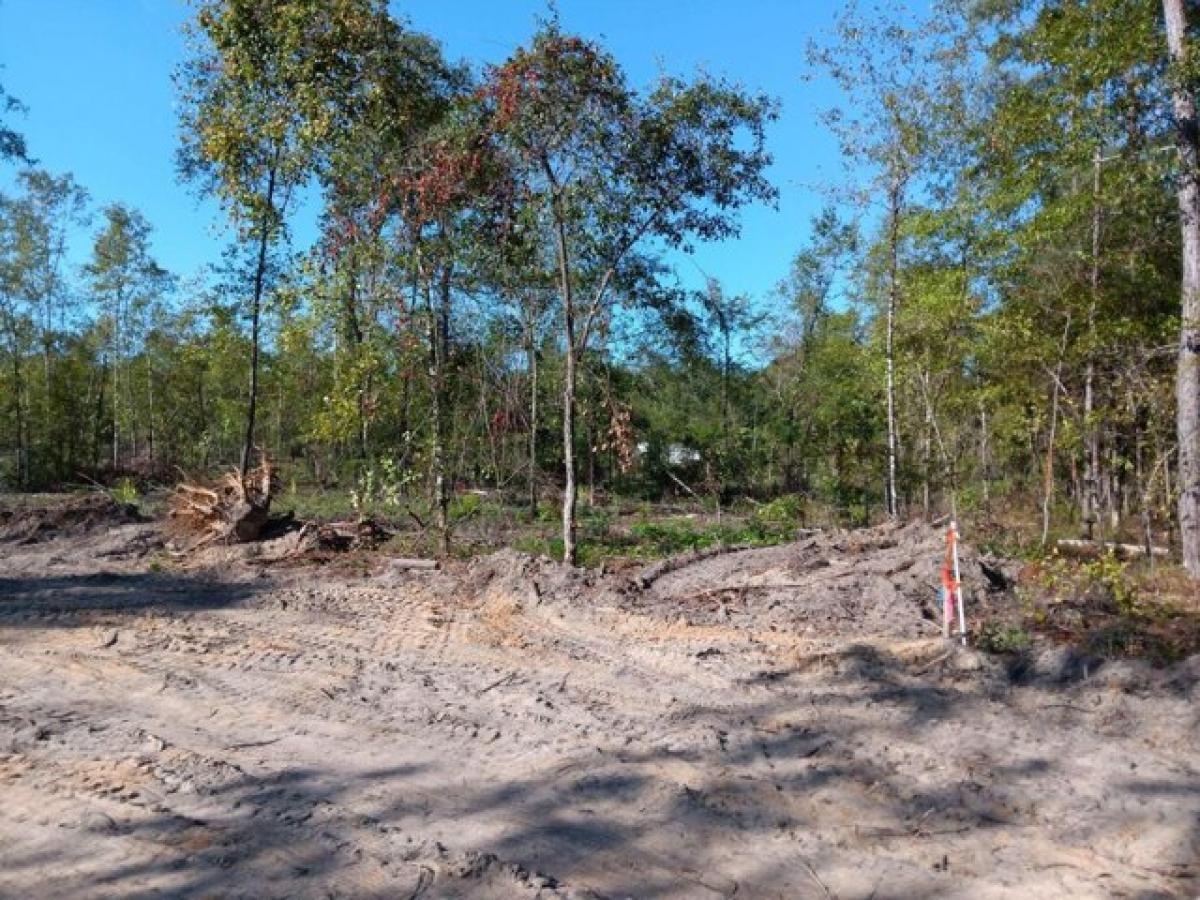 Picture of Residential Land For Sale in Barnwell, South Carolina, United States