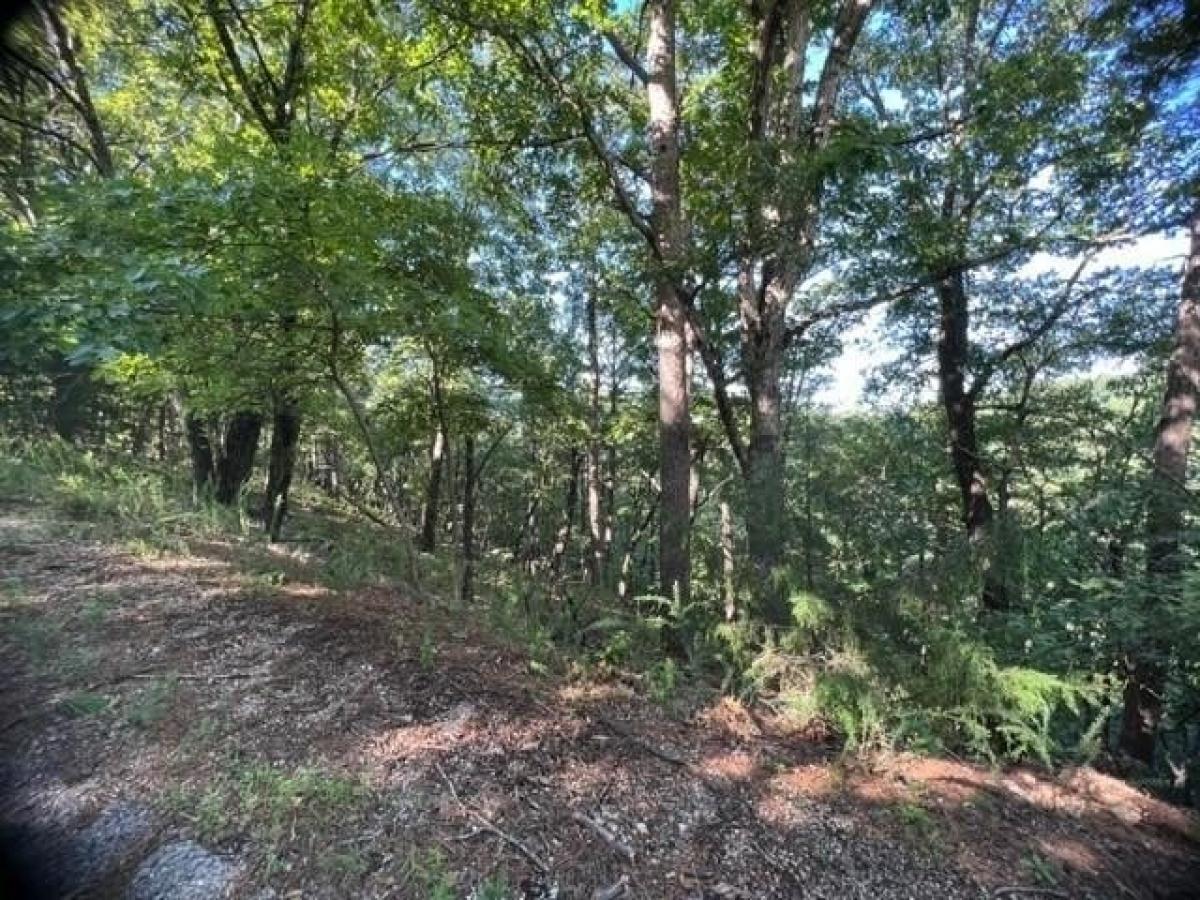 Picture of Residential Land For Rent in Holiday Island, Arkansas, United States