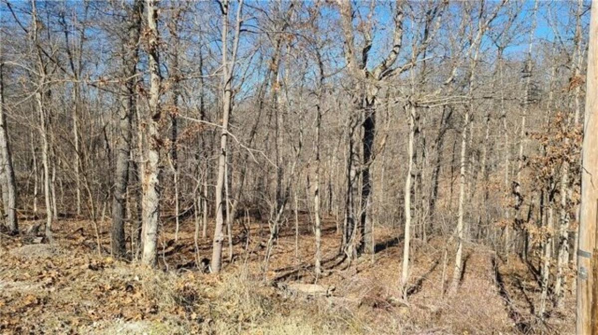 Picture of Residential Land For Rent in Bella Vista, Arkansas, United States