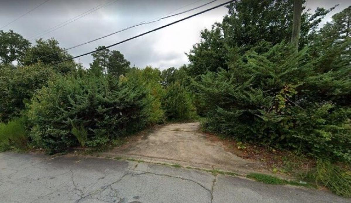 Picture of Residential Land For Sale in Palmetto, Georgia, United States