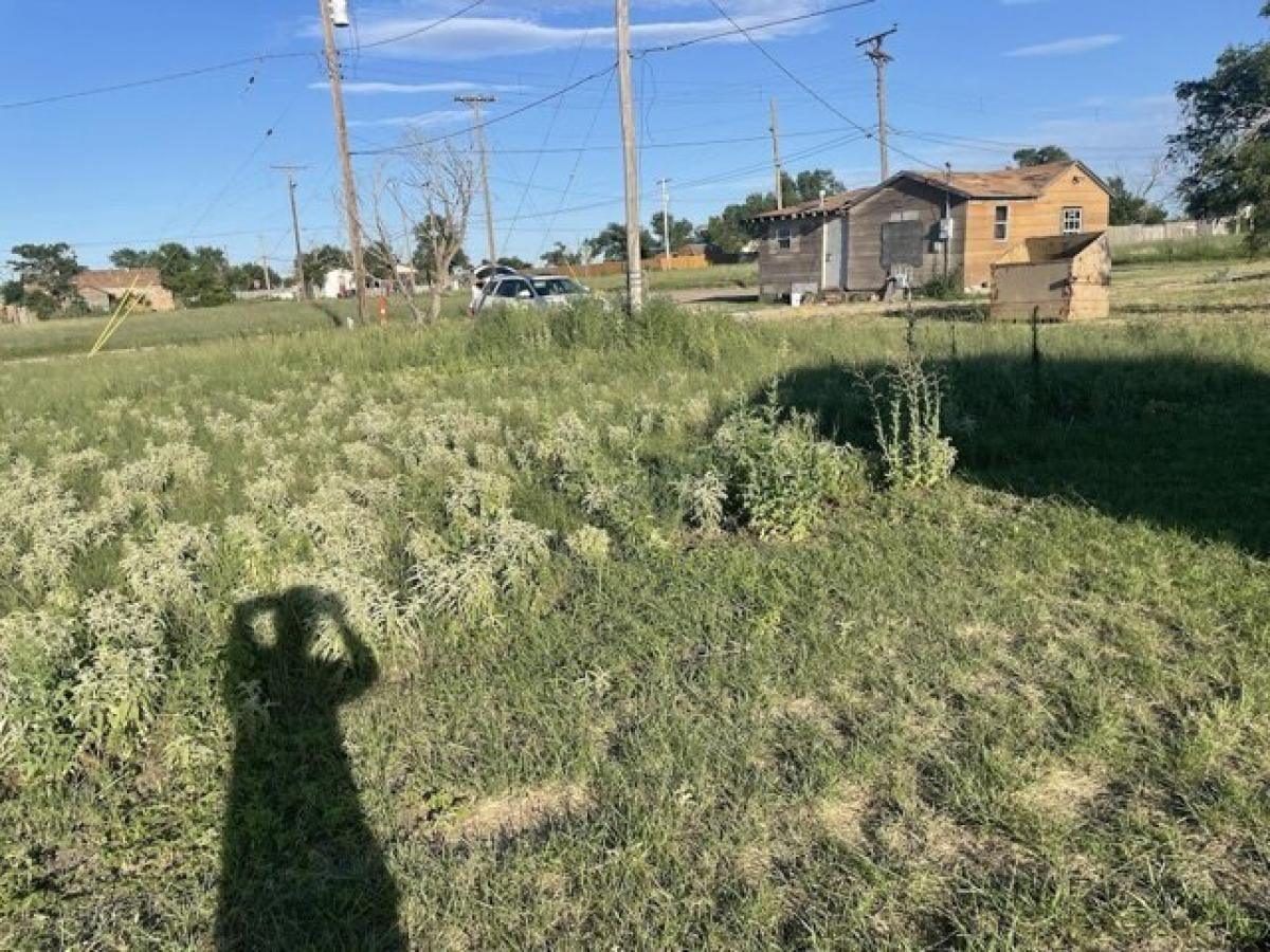 Picture of Residential Land For Sale in Plainview, Texas, United States