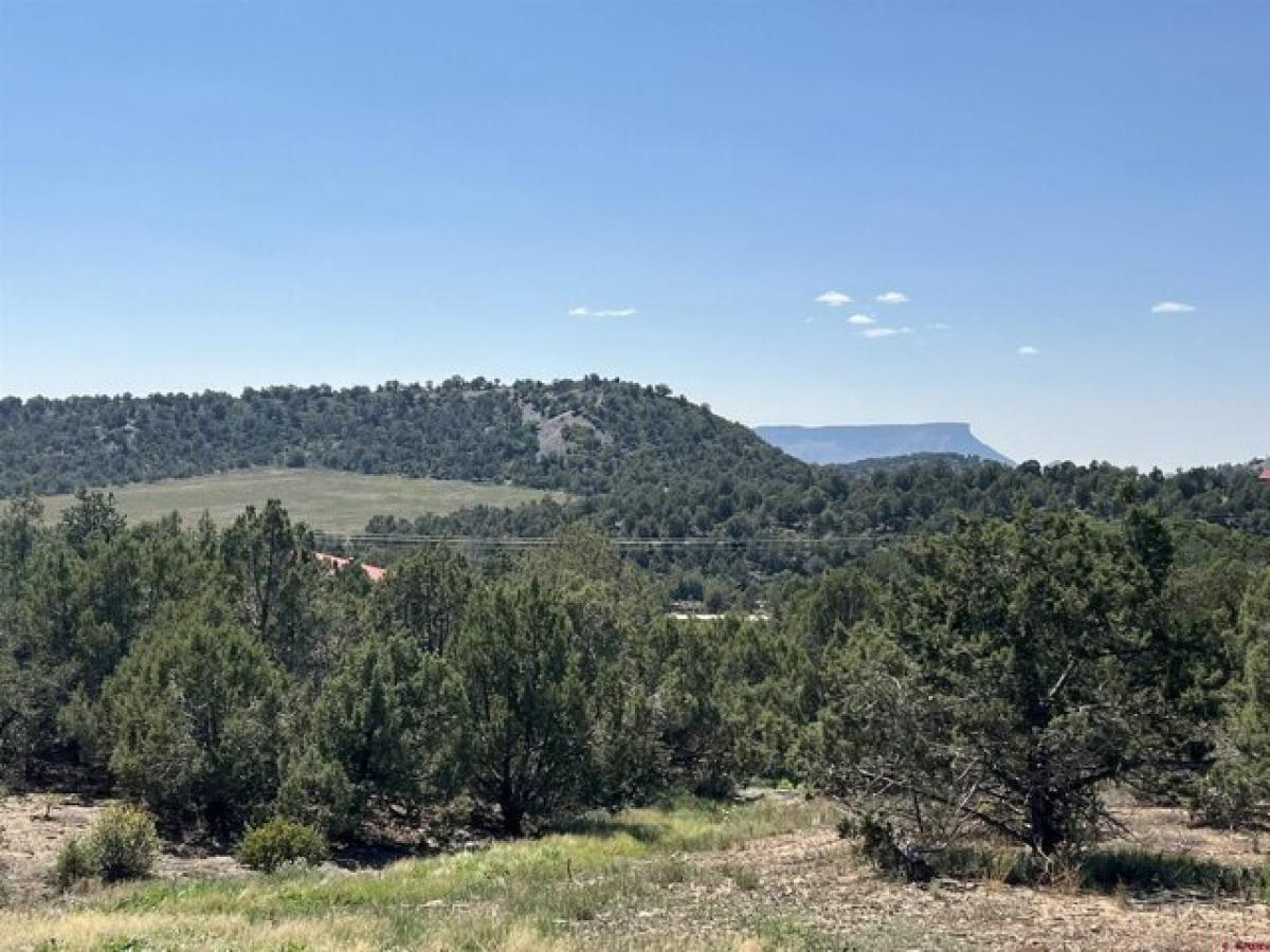 Picture of Residential Land For Sale in Mancos, Colorado, United States