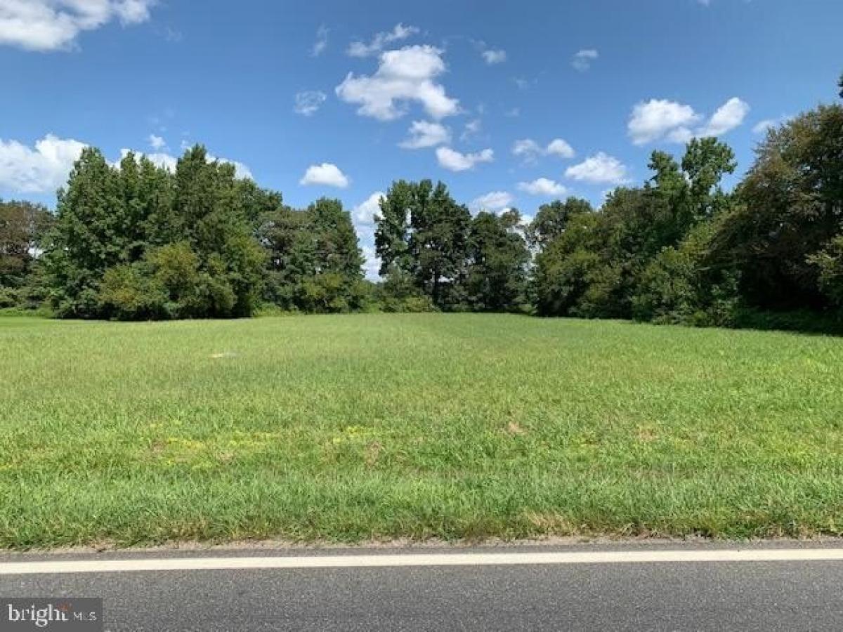 Picture of Residential Land For Sale in Houston, Delaware, United States