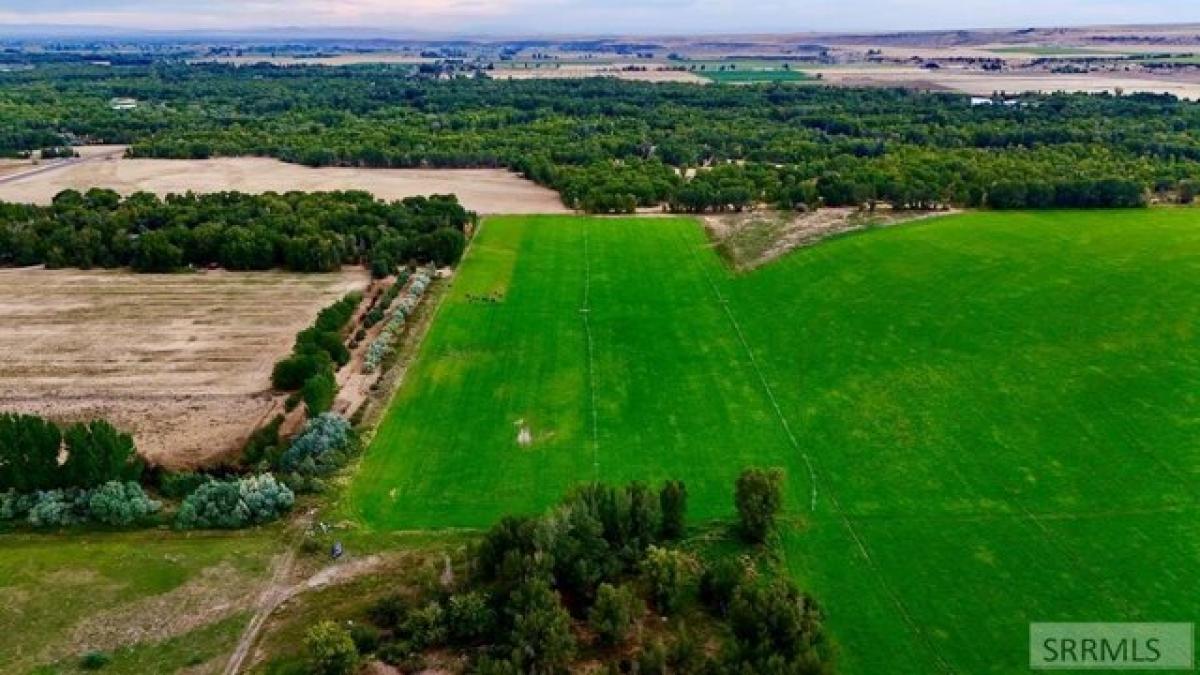 Picture of Residential Land For Sale in Rigby, Idaho, United States