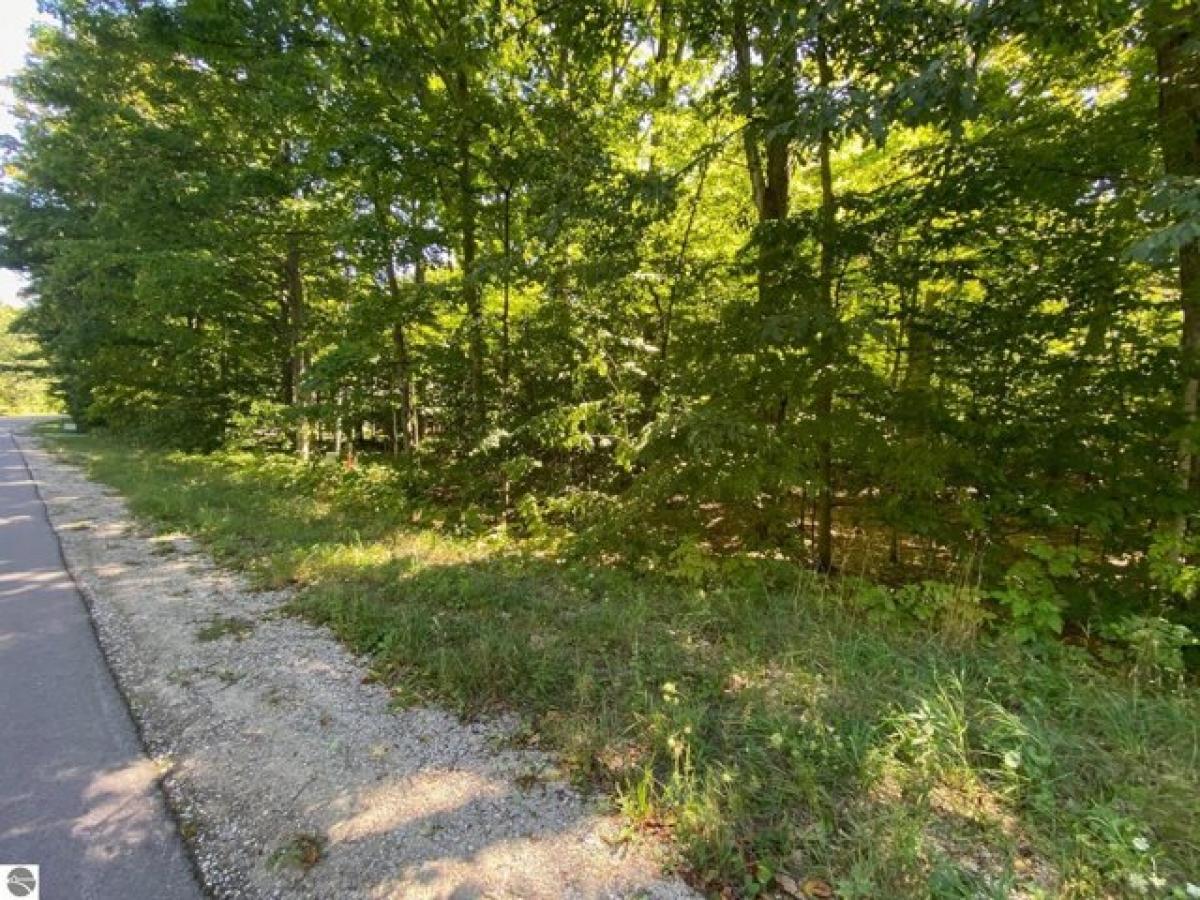 Picture of Residential Land For Sale in Cedar, Michigan, United States