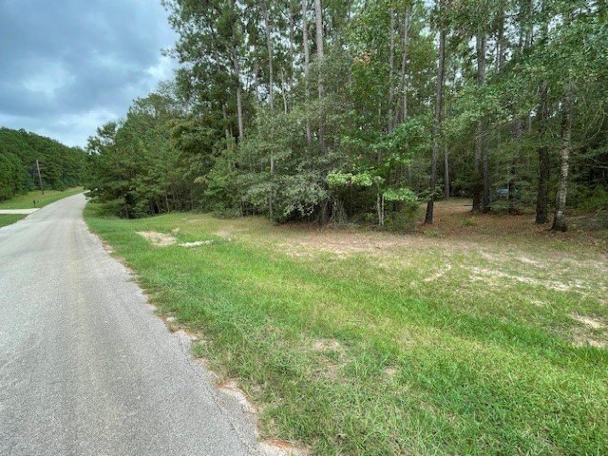 Picture of Residential Land For Sale in Anderson, Texas, United States