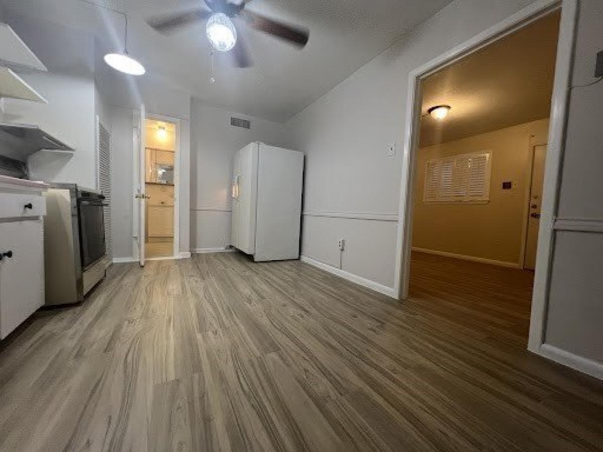 Picture of Apartment For Rent in Houston, Texas, United States