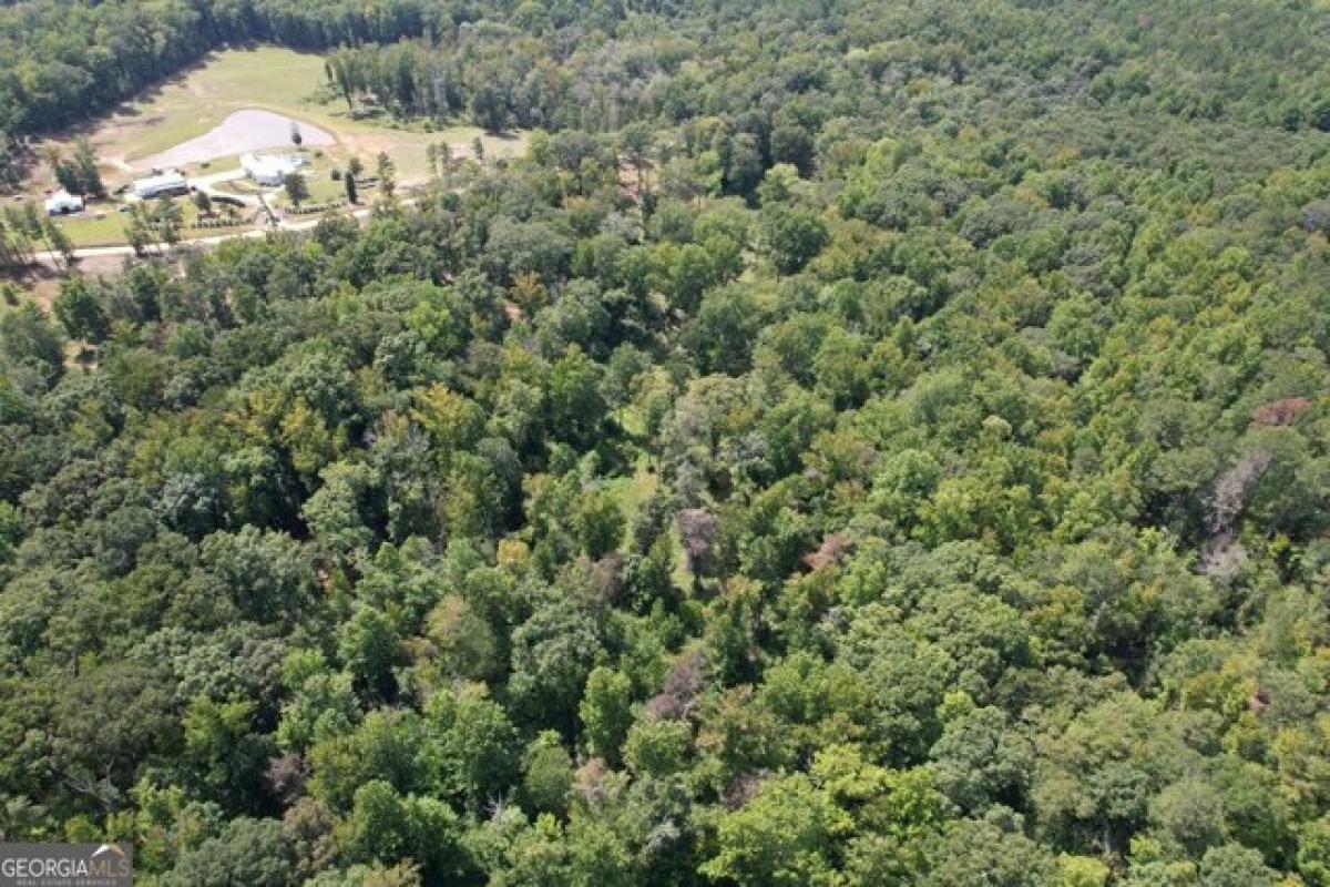 Picture of Residential Land For Sale in Griffin, Georgia, United States