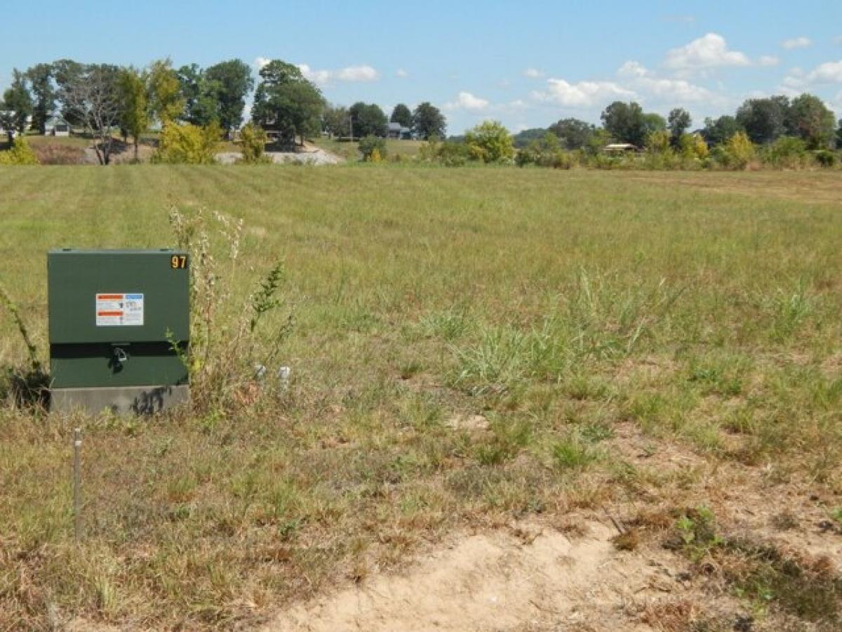 Picture of Residential Land For Sale in Savannah, Tennessee, United States