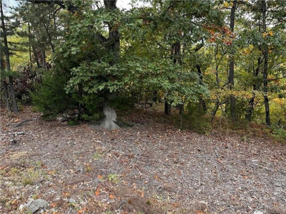 Picture of Residential Land For Rent in Holiday Island, Arkansas, United States