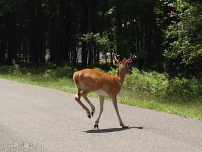 Residential Land For Sale in Jim Thorpe, Pennsylvania