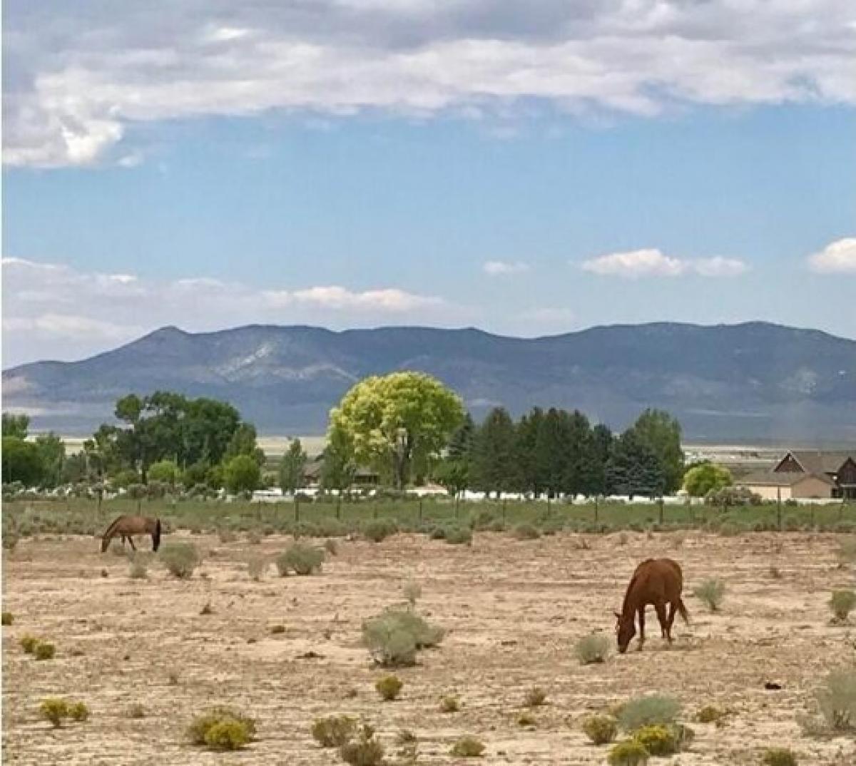 Picture of Residential Land For Sale in Paragonah, Utah, United States