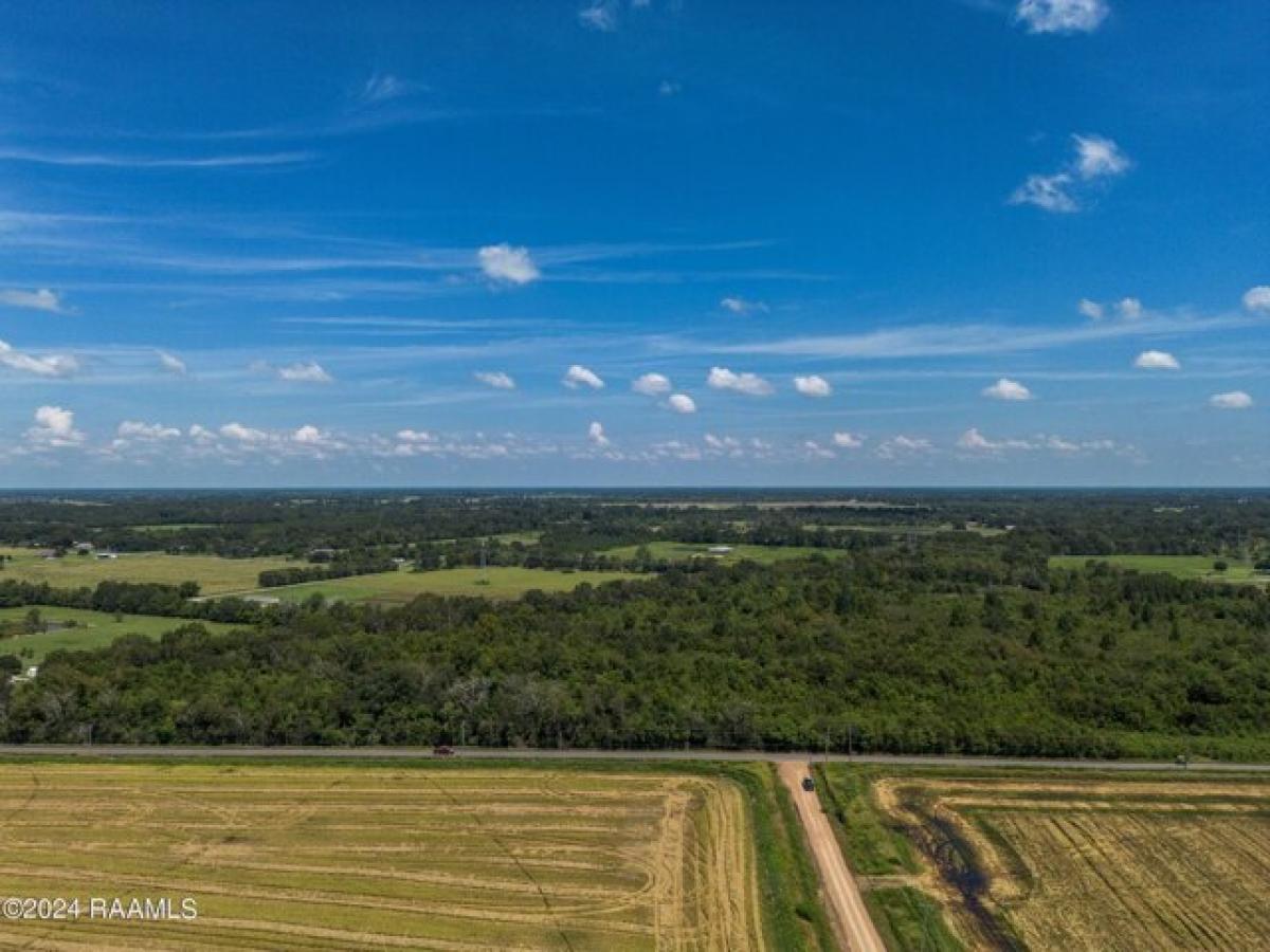 Picture of Residential Land For Sale in Church Point, Louisiana, United States