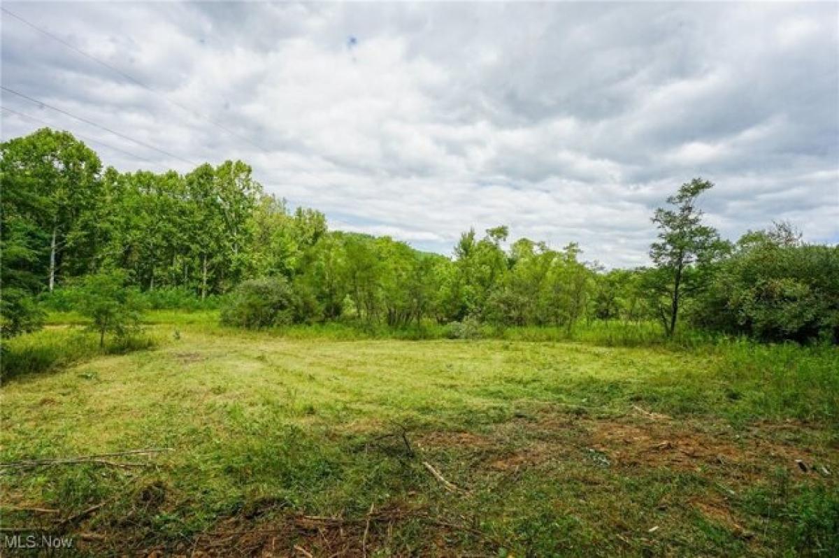 Picture of Residential Land For Sale in Roseville, Ohio, United States