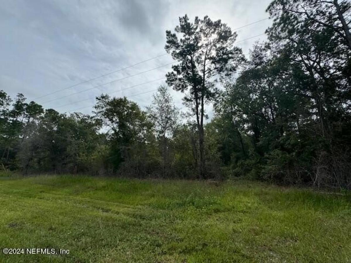 Picture of Residential Land For Sale in Sanderson, Florida, United States