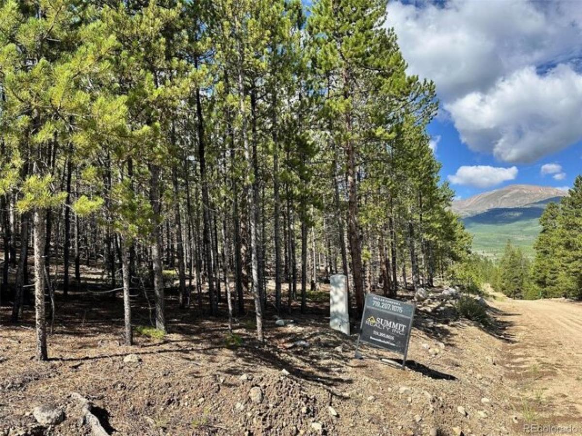 Picture of Residential Land For Sale in Twin Lakes, Colorado, United States