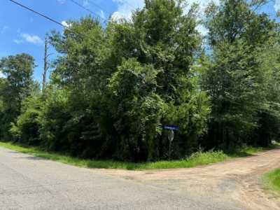 Residential Land For Sale in Marianna, Florida