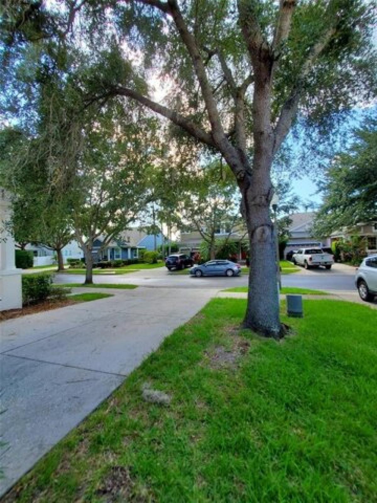 Picture of Home For Rent in Windermere, Florida, United States