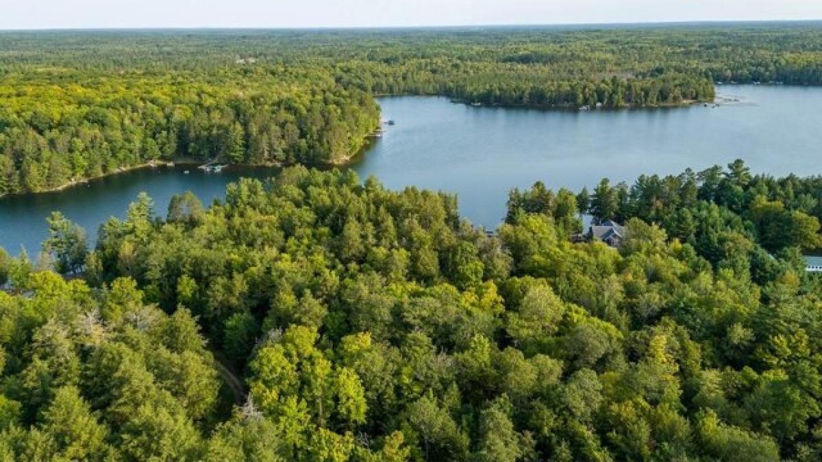 Picture of Residential Land For Sale in Lake Tomahawk, Wisconsin, United States