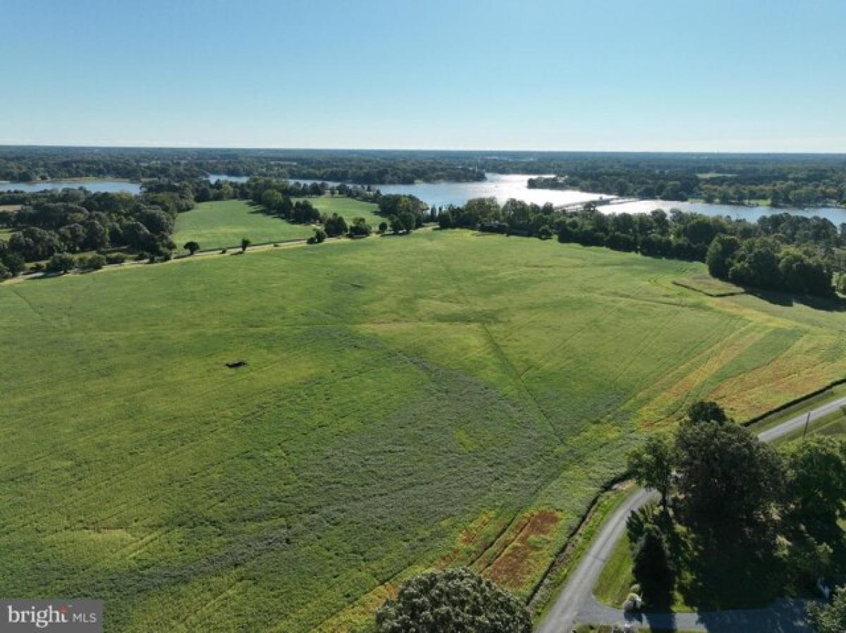 Picture of Residential Land For Sale in Easton, Maryland, United States