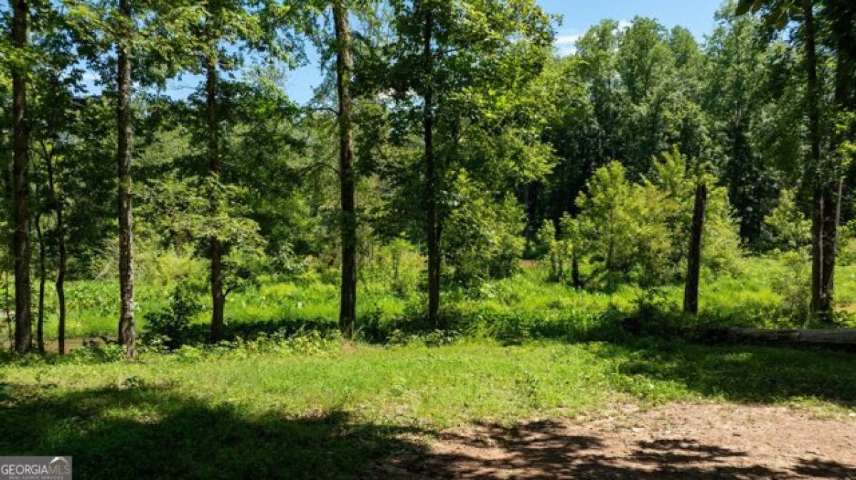 Picture of Residential Land For Sale in Madison, Georgia, United States