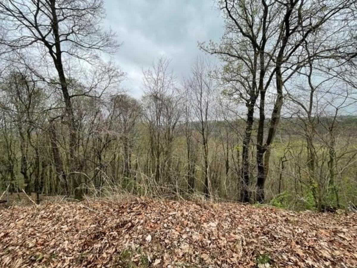 Picture of Residential Land For Rent in Holiday Island, Arkansas, United States