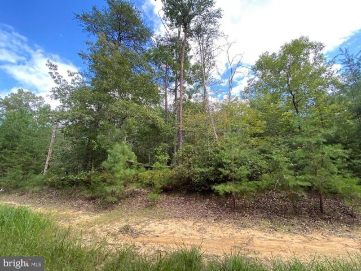 Picture of Residential Land For Sale in King George, Virginia, United States